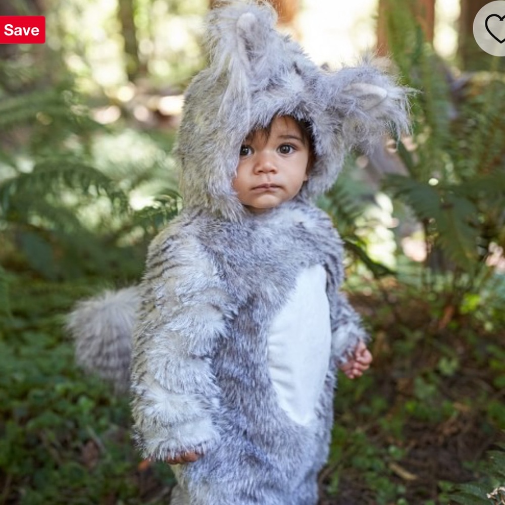 Pottery Barn Squirrel Costume